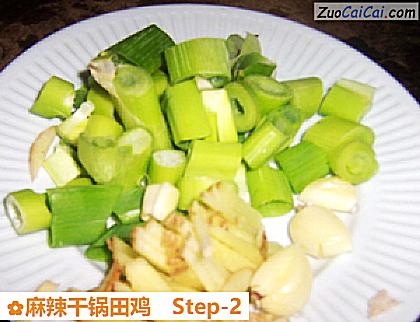 麻辣干锅田鸡做法第二步骤