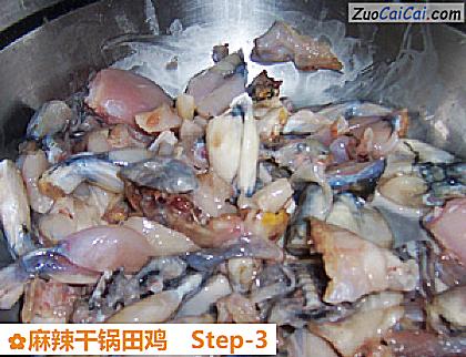 麻辣干锅田鸡做法第三步骤