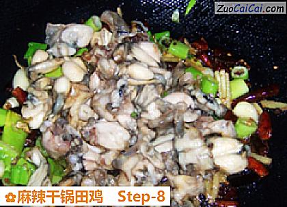 麻辣干锅田鸡做法第八步骤