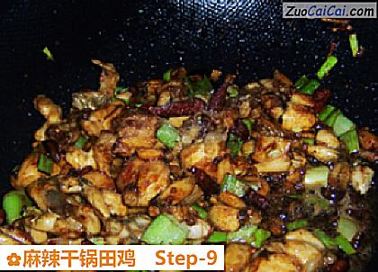 麻辣干锅田鸡做法第九步骤