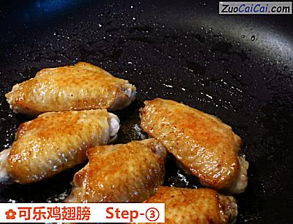 可乐鸡翅膀做法第三步骤