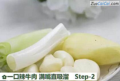 一口辣牛肉满嘴直吸溜做法第二步骤