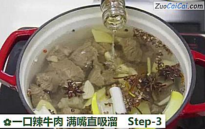 一口辣牛肉满嘴直吸溜做法第三步骤