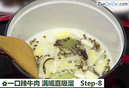 一口辣牛肉满嘴直吸溜做法第八步骤