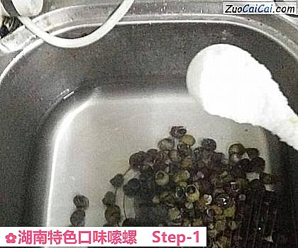 湖南特色口味嗦螺做法第一步骤