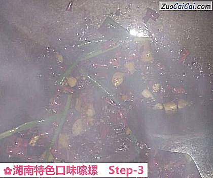 湖南特色口味嗦螺做法第三步骤