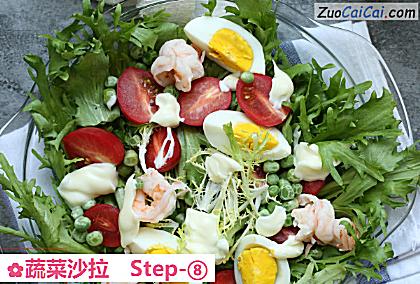 蔬菜沙拉做法第八步骤