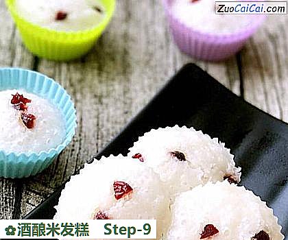 酒酿米发糕做法第九步骤