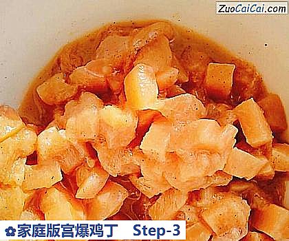 家庭版宫爆鸡丁做法第三步骤