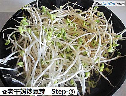 老干妈炒豆芽做法第三步骤