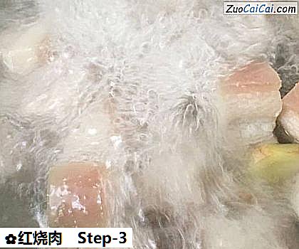 红烧肉做法第三步骤