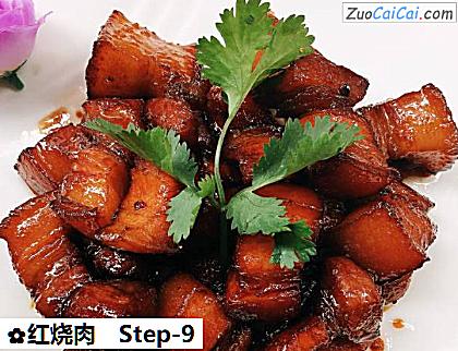 红烧肉做法第九步骤