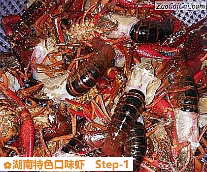湖南特色口味虾做法第一步骤