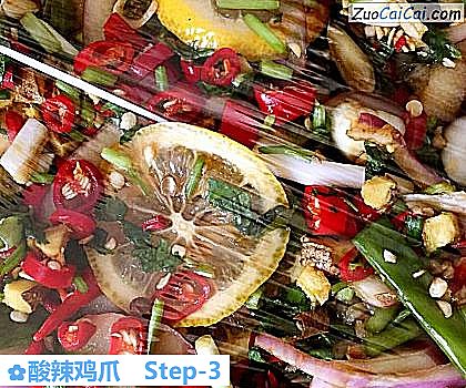 酸辣鸡爪做法第三步骤