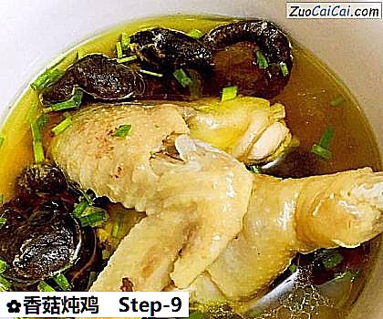 香菇炖鸡成品图3