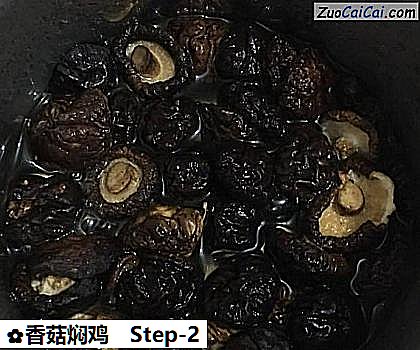 香菇焖鸡做法第二步骤