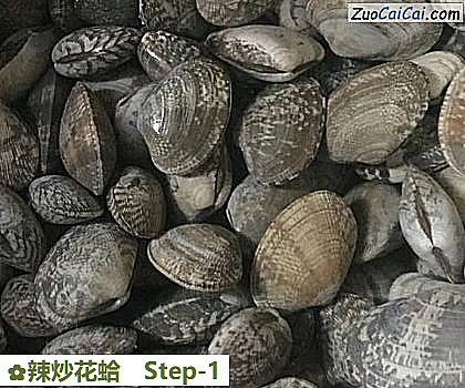 辣炒花蛤做法第一步骤