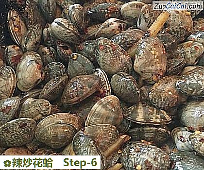 辣炒花蛤做法第六步骤