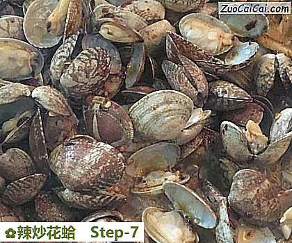 辣炒花蛤做法第七步骤