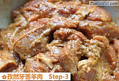 孜然牙签羊肉做法第三步骤