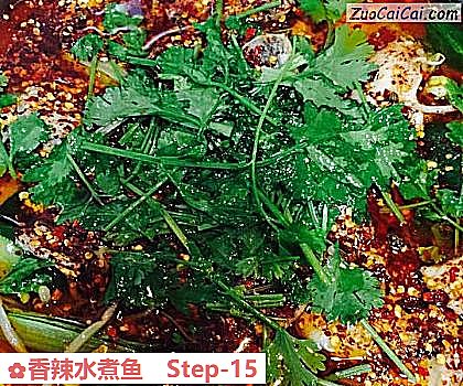 香辣水煮鱼做法第十五步骤