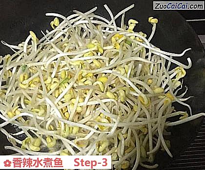 香辣水煮鱼做法第三步骤