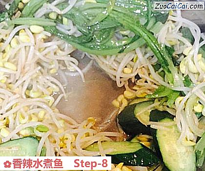 香辣水煮鱼做法第八步骤