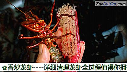 香炒龙虾做法第一步骤