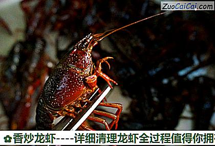 香炒龙虾做法第二步骤