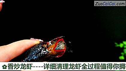 香炒龙虾做法第四步骤