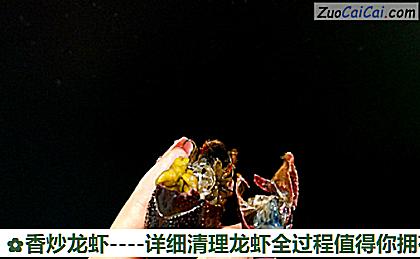香炒龙虾做法第五步骤