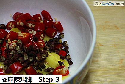 麻辣鸡脚做法第三步骤