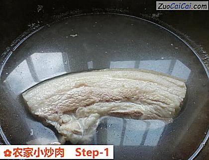 农家小炒肉做法第一步骤