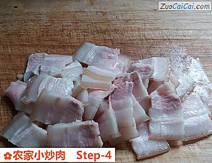 农家小炒肉做法第四步骤
