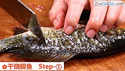 干烧鲫鱼做法第一步骤