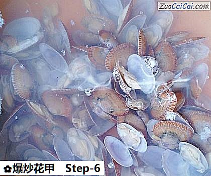 爆炒花甲做法第六步骤