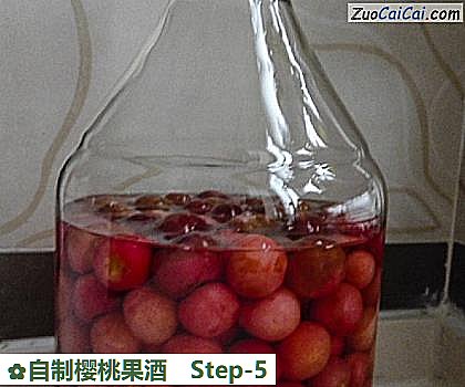 自制樱桃果酒做法第五步骤
