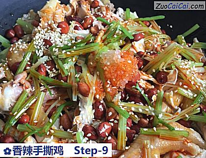 香辣手撕鸡做法第九步骤