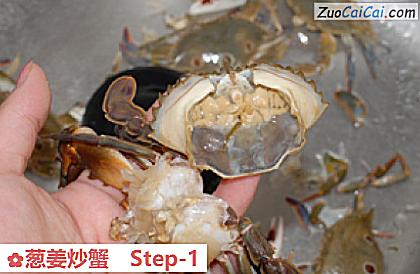 葱姜炒蟹做法第一步骤