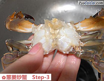 葱姜炒蟹做法第三步骤