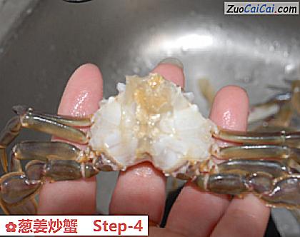 葱姜炒蟹做法第四步骤