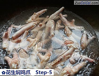花生焖鸡爪做法第五步骤