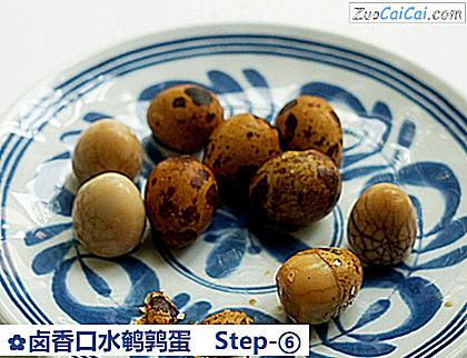 卤香口水鹌鹑蛋做法第六步骤