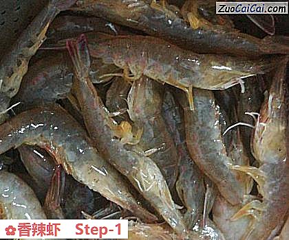香辣虾做法第一步骤