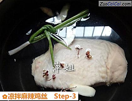 凉拌麻辣鸡丝做法第三步骤