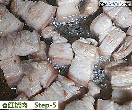 红烧肉做法第五步骤