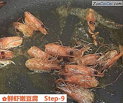 鲜虾嫩豆腐做法第九步骤