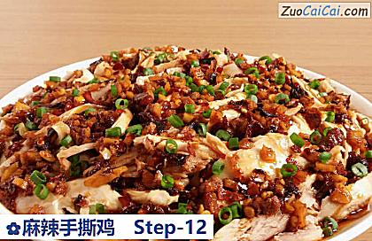 麻辣手撕鸡成品图3