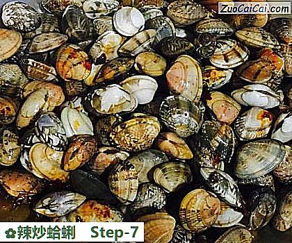辣炒蛤蜊做法第七步骤