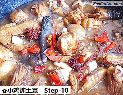小鸡炖土豆做法第十步骤